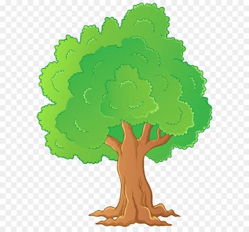 Tree Clip art - Tree PNG Transparent Clip Art 