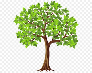 Tree Clip art - Tree PNG Transparent Clip Art Image 