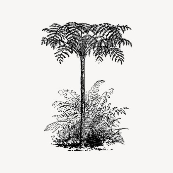 Tree clipart, nature illustration vector. | Free Vector Illustration - rawpixel