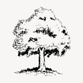 Tree clipart, vintage botanical illustration | Free Vector - rawpixel