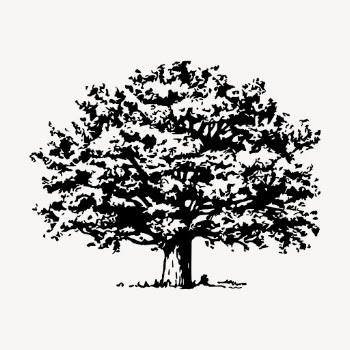 Tree clipart, vintage botanical illustration | Free Vector - rawpixel