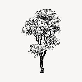 Tree clipart, vintage illustration vector. | Free Vector Illustration - rawpixel