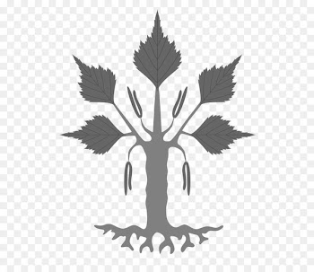 Tree Coat of arms Heraldry Silver birch Rowan - tree 