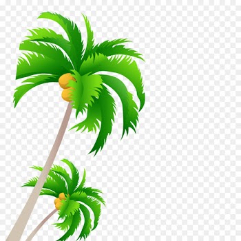 Tree Coconut - coconut tree 
