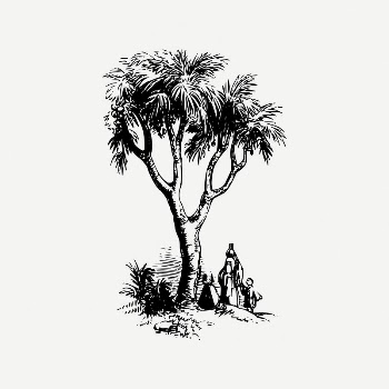 Tree collage element, nature illustration | Free PSD Illustration - rawpixel