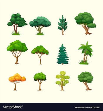 tree collection