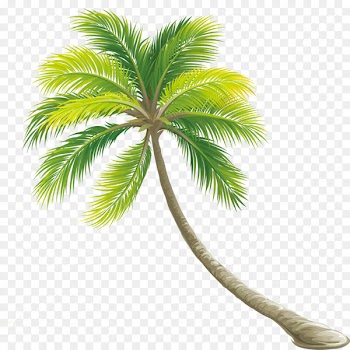 Tree Color Shrub - Palm tree 