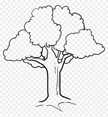Tree - Coloring Picture Of Tree