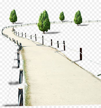 Tree Computer file - Roads and trees 