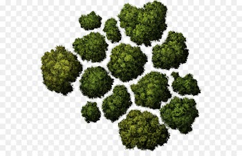 Tree Computer Icons Architecture - Tree Top Png Tree 