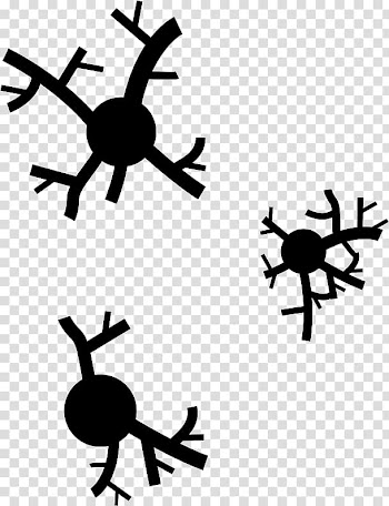 Tree Computer Icons Branch Symbol , tree transparent background PNG clipart