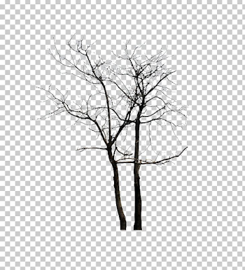 Tree Computer Winter PNG, Clipart, Aparat, Black And White, Branch ...