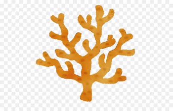 tree coral plant