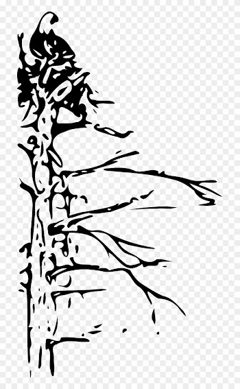 Tree Dead Nature Landscape Png Image - Bald Eagle