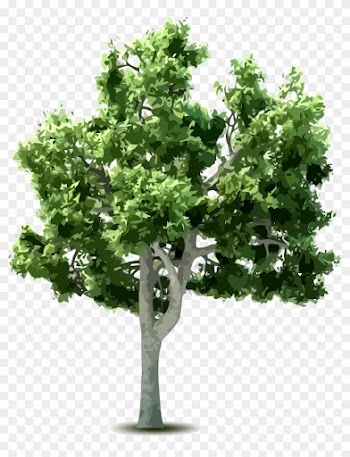 Tree Download Clip Art - Tree Download Clip Art