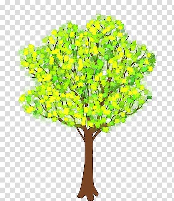 Tree Drawing , blossoming transparent background PNG clipart