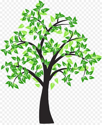 Tree Drawing Cottonwood Leaf - tree vector 