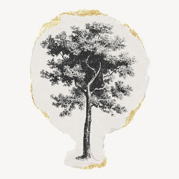 Tree drawing, ephemera torn paper, | Free Photo Illustration - rawpixel