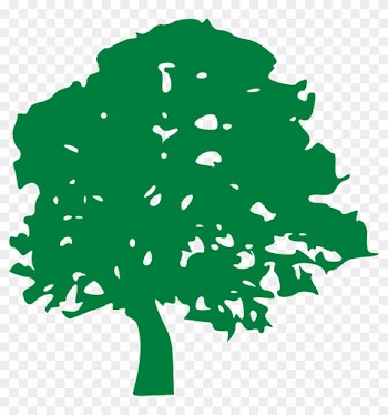 Tree Drawing Green Branches Png Image - Free Oak Tree Graphic