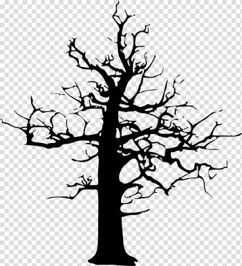 Tree Drawing , Halloween Tree transparent background PNG clipart