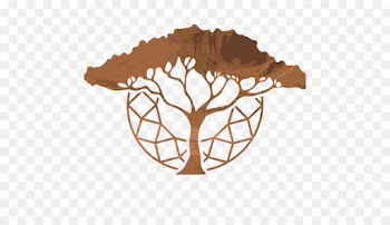 Tree, Drawing, Line Art, Leaf, Botany PNG