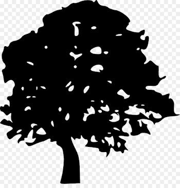 Tree Drawing Stencil Clip art - cypress isolated png download ...