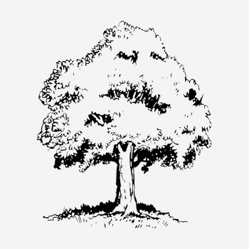 Tree drawing, vintage botanical illustration. | Free Photo - rawpixel