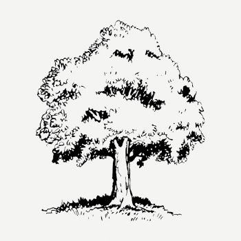 Tree drawing, vintage botanical illustration | Free PSD - rawpixel