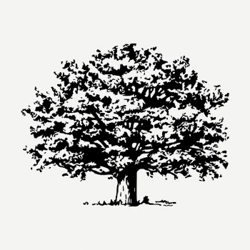 Tree drawing, vintage botanical illustration | Free PSD - rawpixel