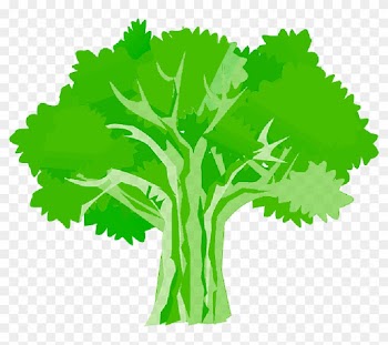 Tree, Environment, Ecology, Nature, Plant - Oak Tree Clipart Hd