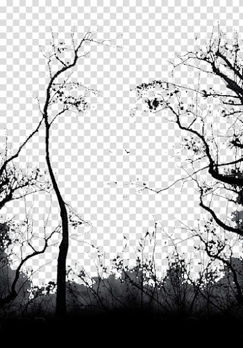 Tree Euclidean Computer file, Trees faint crow transparent background PNG clipart
