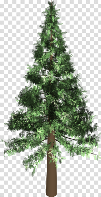Tree Evergreen Isolated - Free image on Pixabay