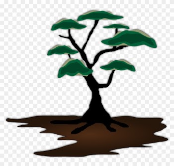 Tree, Exotic, Landscape, Soil, Growing - African Trees Clip Art