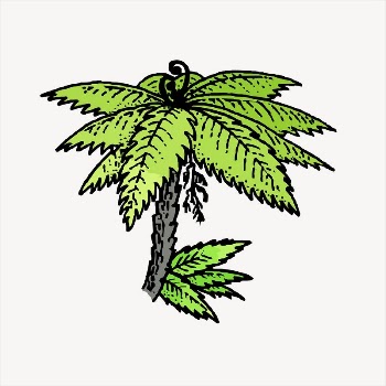 Tree fern  clipart, vintage | Free Vector - rawpixel