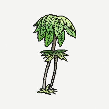 Tree fern drawing, vintage illustration | Free PSD - rawpixel