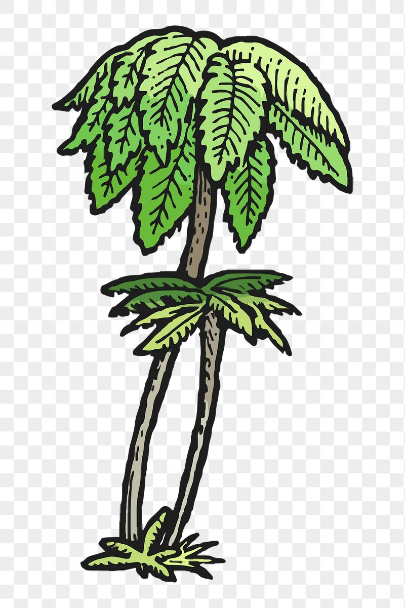 Tree fern png sticker, vintage | Free PNG - rawpixel