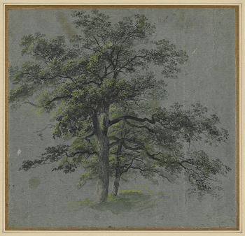 Tree (first half 1800s) by Johann | Free Photo - rawpixel