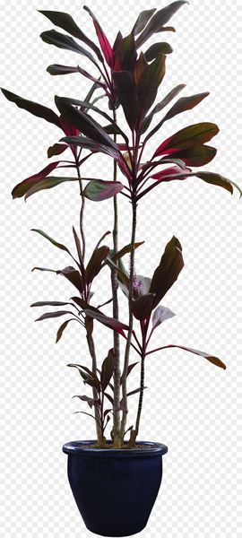 Tree Flowerpot Plant - flower pot 