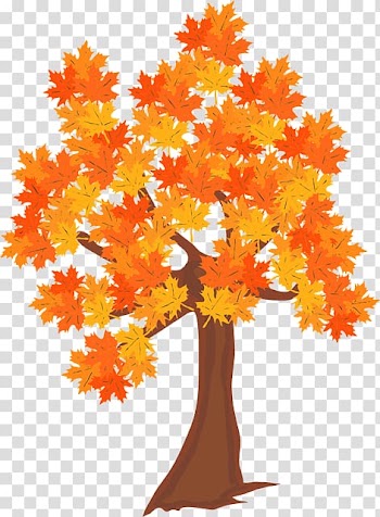 Tree Forest Autumn Leaf , tree transparent background PNG clipart