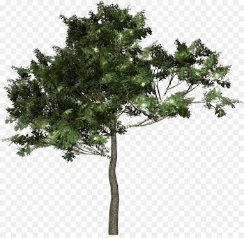 Tree Forest Clip art - tree 