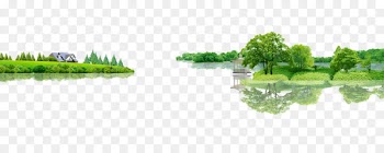 Tree Forest Download - forest 