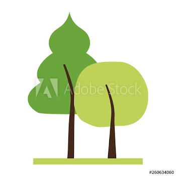 tree forest nature