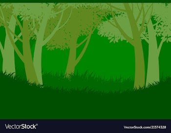 Tree forest scene vector image