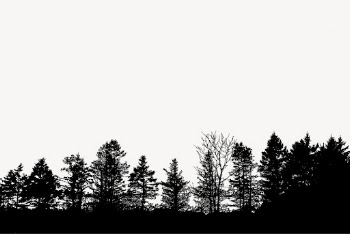Tree forest silhouette border, nature | Free Photo - rawpixel