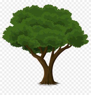 Tree Forest Trunk Nature Leaves Branches O - Community Trees Clip Art