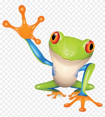 Tree Frog Cartoon