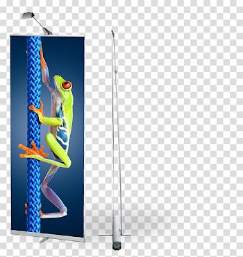 Tree frog free standing tarpaulin, Banner, Rollup Banner transparent background PNG clipart