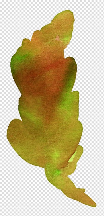 Tree frog Leaf Autumn Plant stem Watercolor painting, sen department of watercolor flowers transparent background PNG clipart