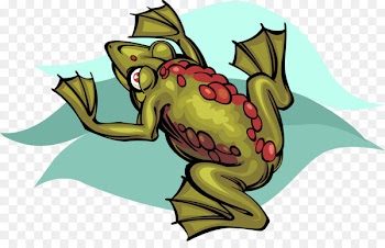 Tree Frog, Reptile, Toad, Cartoon, Amphibian PNG