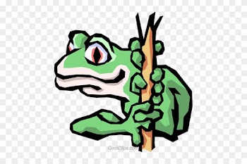 Tree Frog Royalty Free Vector Clip Art Illustration - Frog Word Search Pdf